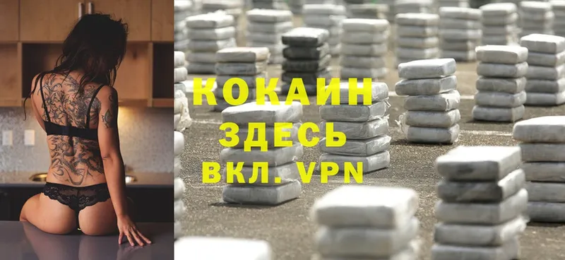 купить наркотик  Баймак  Cocaine Эквадор 