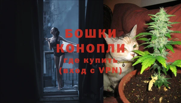 мдпв Покачи